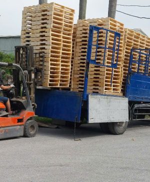 Pallet gỗ giao hàng toàn quốc