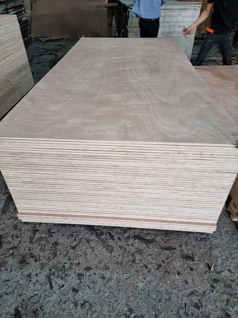 gỗ dán đóng pallet