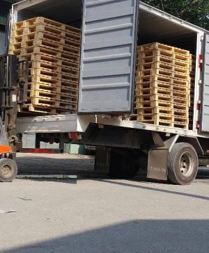 Pallet gỗ xuất khẩu